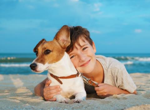 Bambino felice con cane sulla spiaggia, cielo azzurro e mare sullo sfondo.